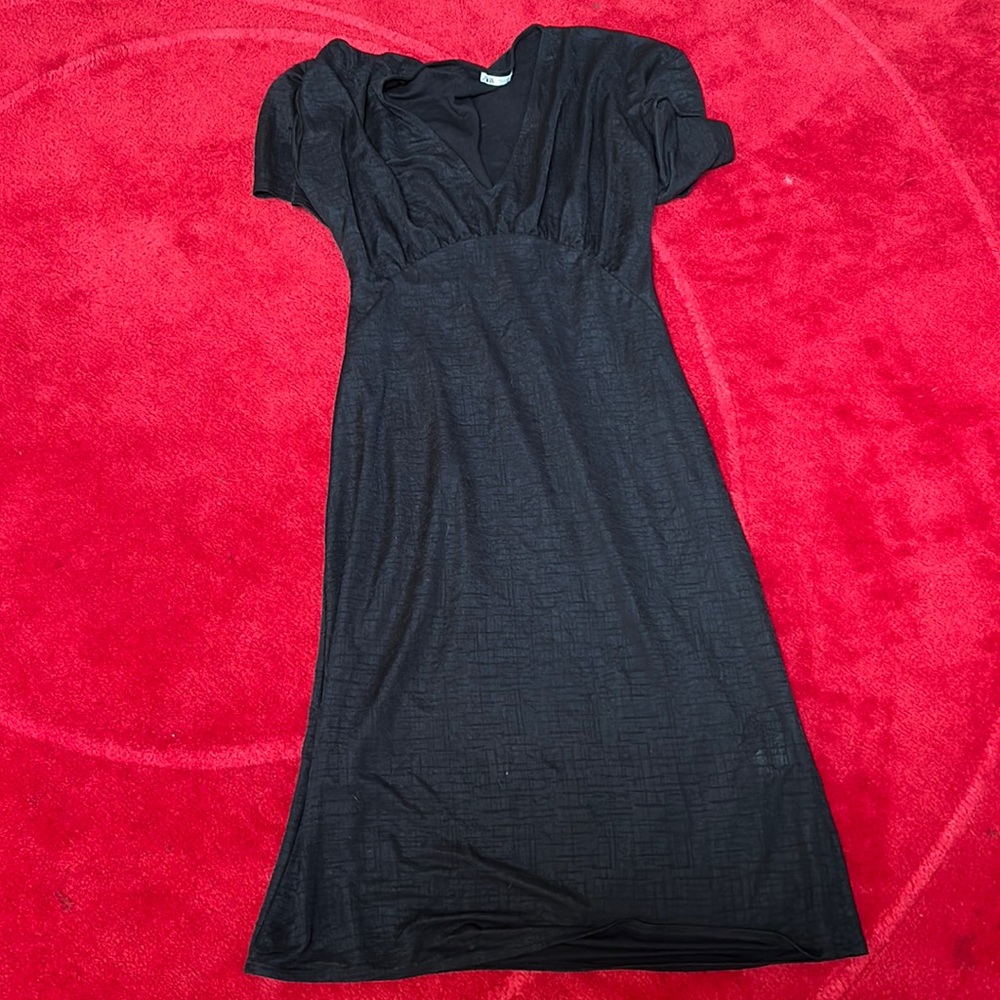 Zara dress